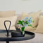 Apartament B 3 