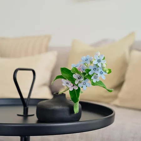 Apartment B 3 