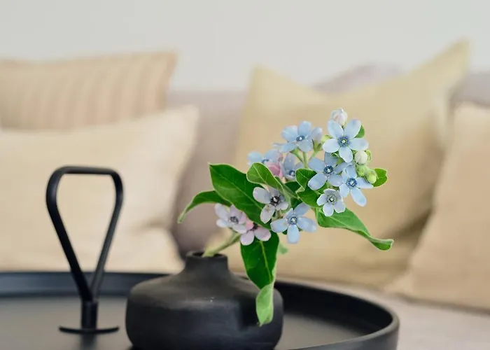 Apartment B 3 Pine Hill Extra Bike Friendly *